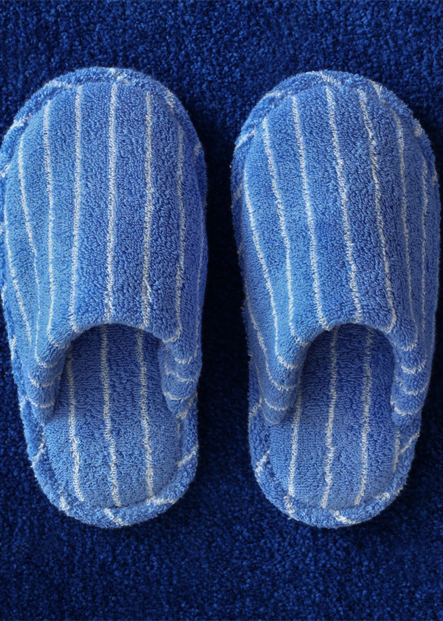 Thin Striped House Slippers / Blue