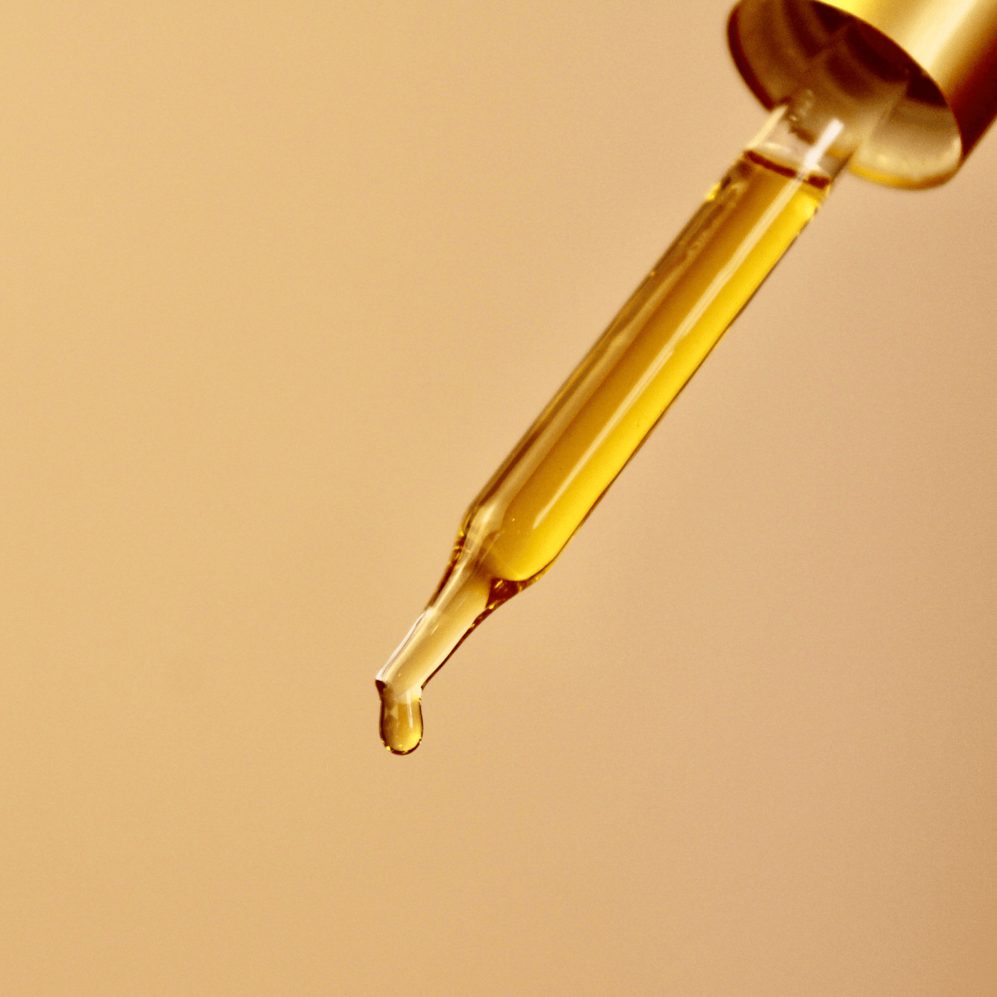 Timeless Antioxidant Facial Serum - Concordia Style Boutique