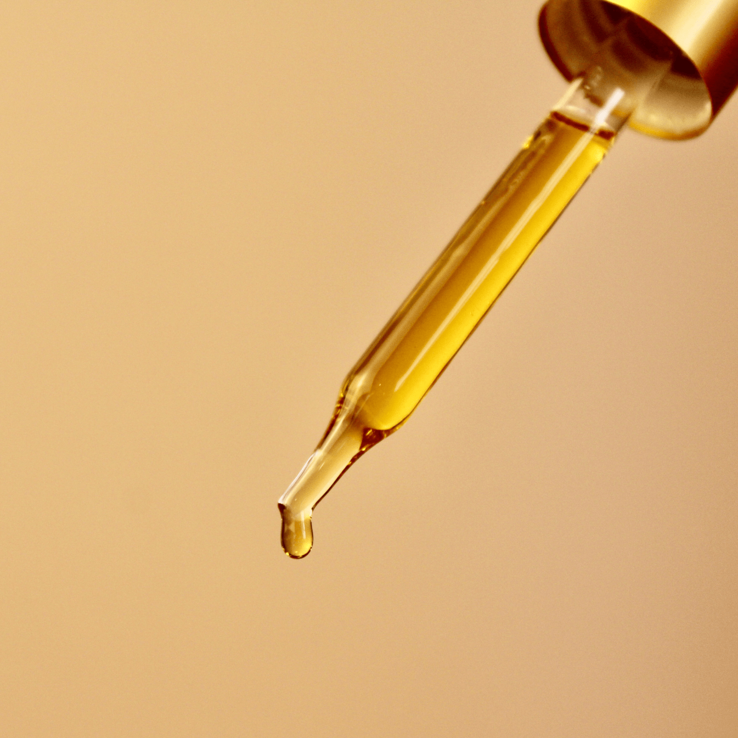 Timeless Antioxidant Facial Serum - Concordia Style Boutique