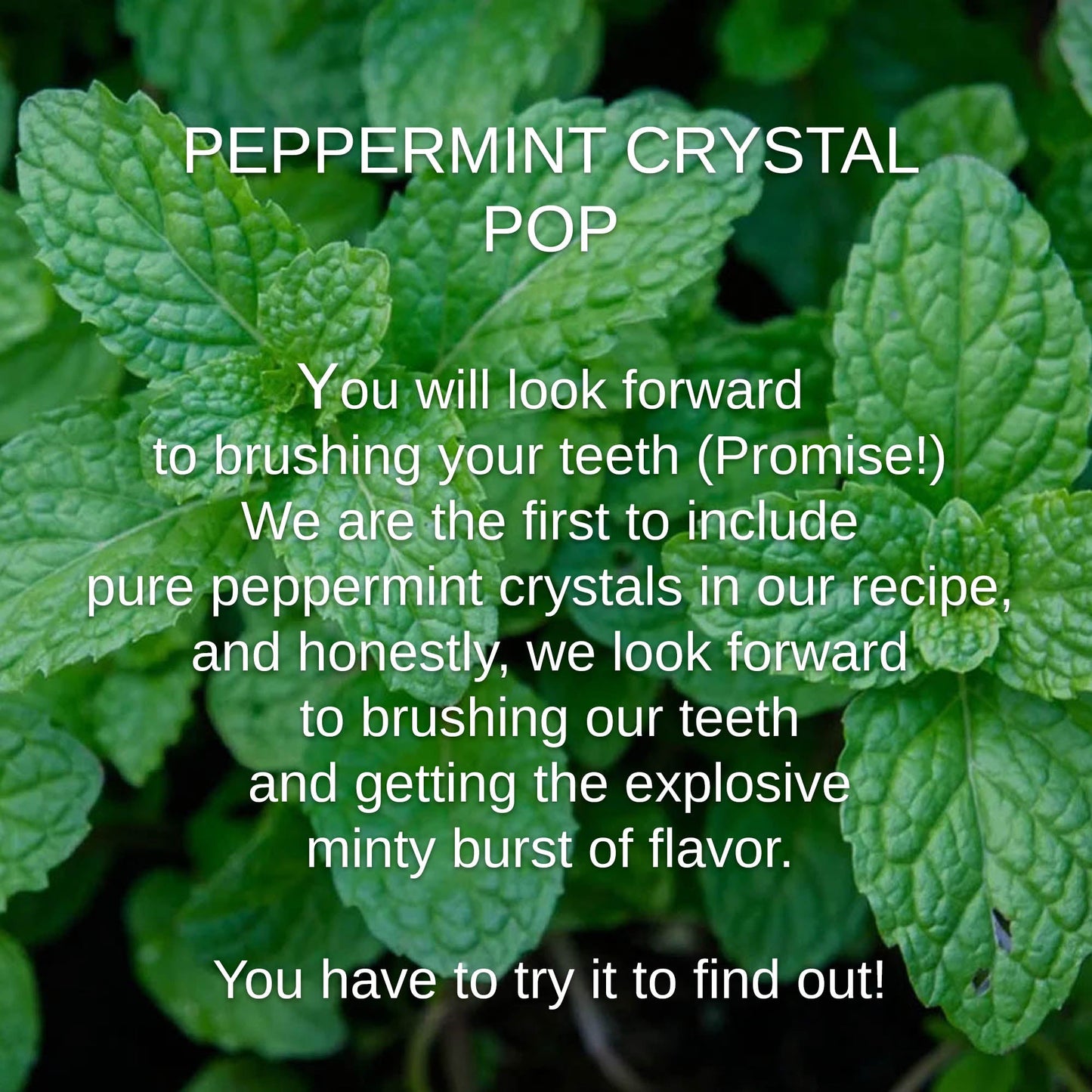 Shwally Fresh & So Clean Mouth Bundle @ 20% Off