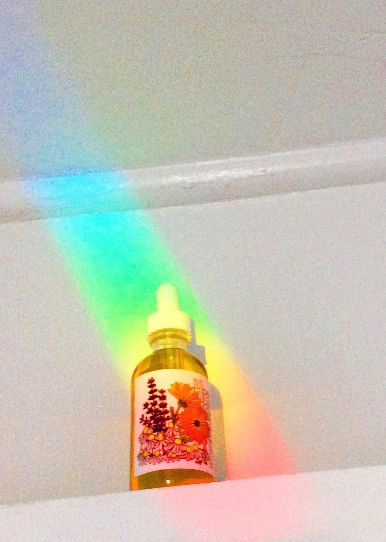 Herbal Cleansing Oil - Concordia Style Boutique