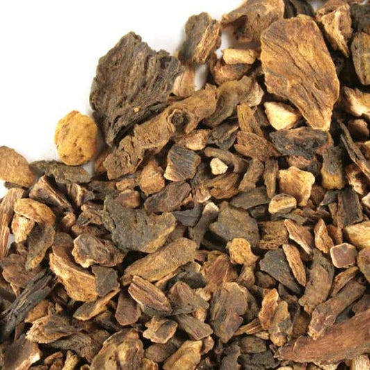 Turkey Rhubarb Root - Organic - Concordia Style Boutique