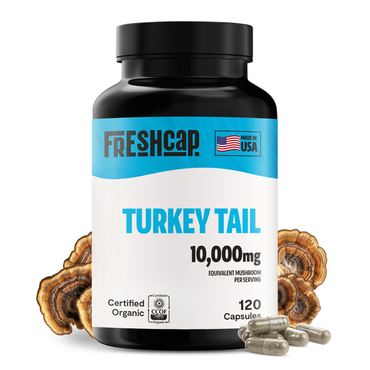 Turkey Tail Mushroom Extract Capsules - Concordia Style Boutique