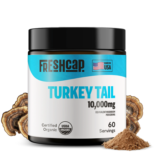 Turkey Tail Mushroom Extract Powder - Concordia Style Boutique