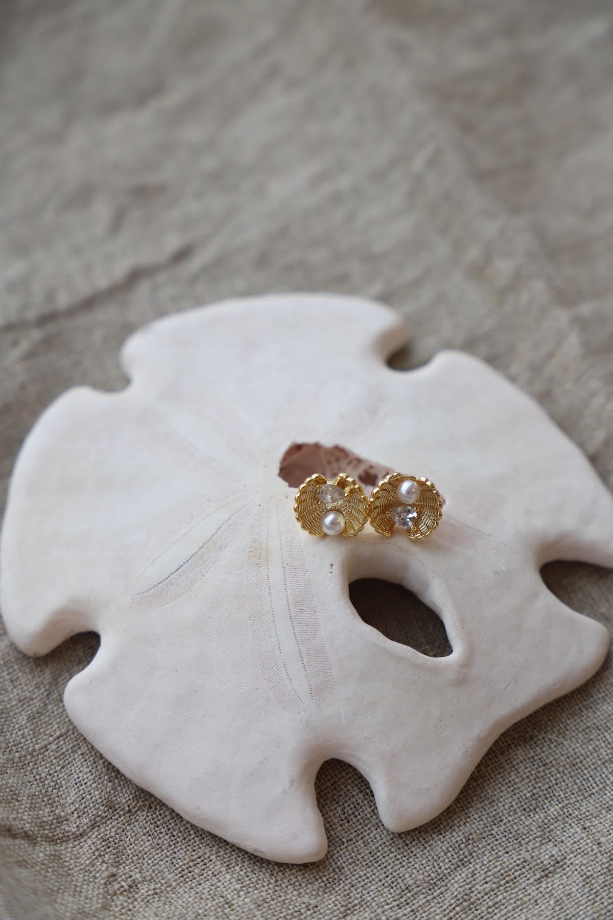 CLAM STUDS - Concordia Style Boutique