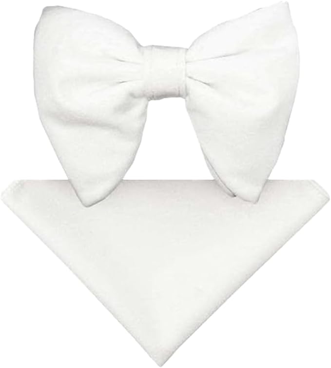 Vittorio Farina Men's Velvet Teardrop Bow Tie & Pocket Square in Gift Box