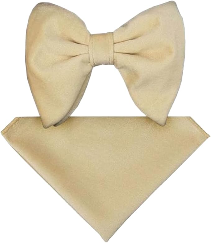 Vittorio Farina Men's Velvet Teardrop Bow Tie & Pocket Square in Gift Box