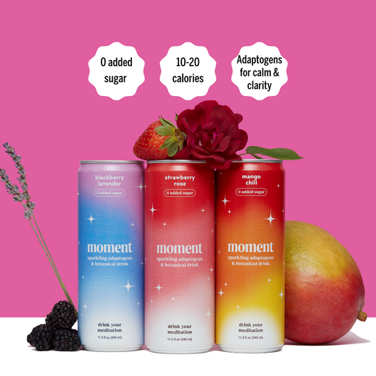 bestsellers (botanical soda | 12 pack) - Concordia Style Boutique