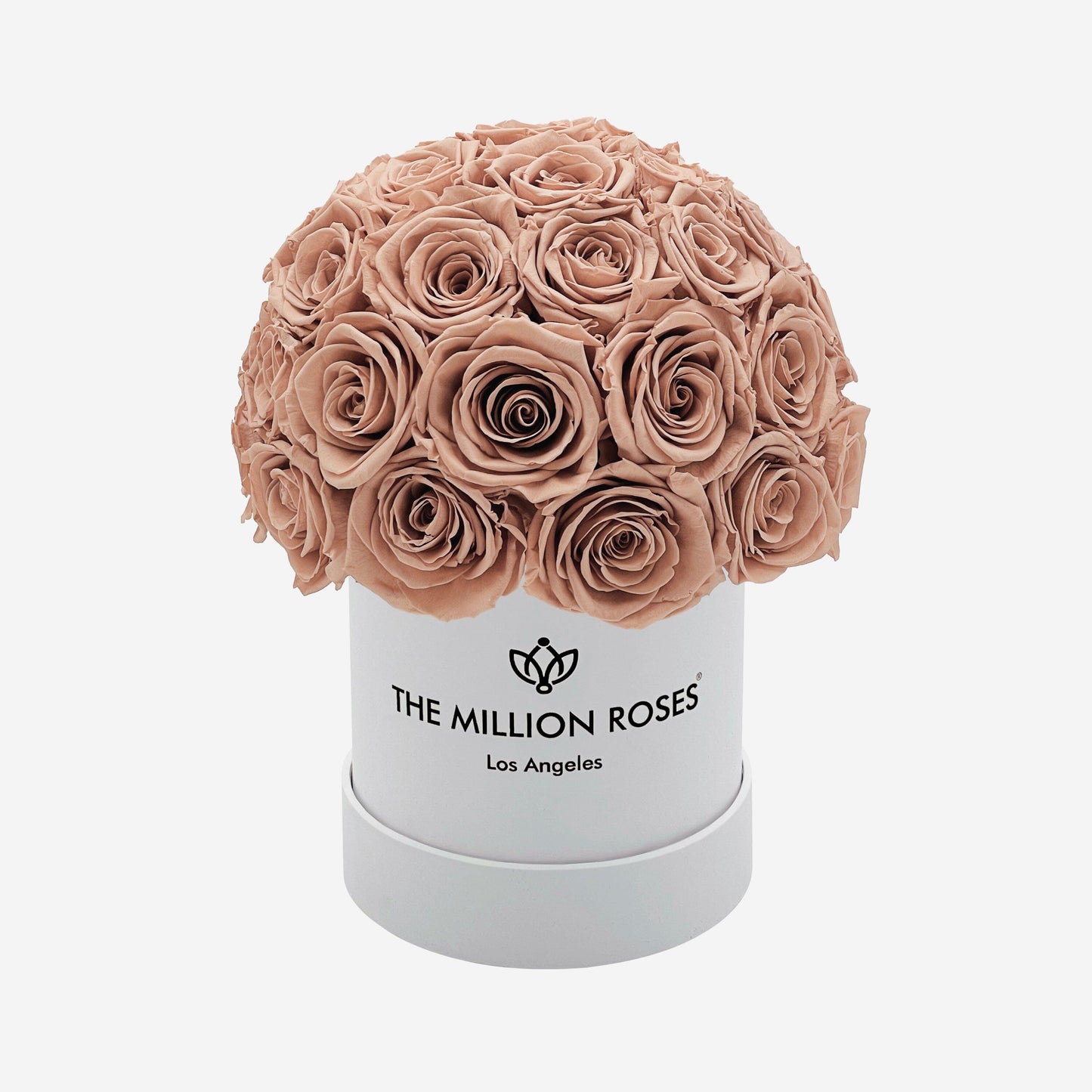 Basic White Superdome Box | Sand Roses
