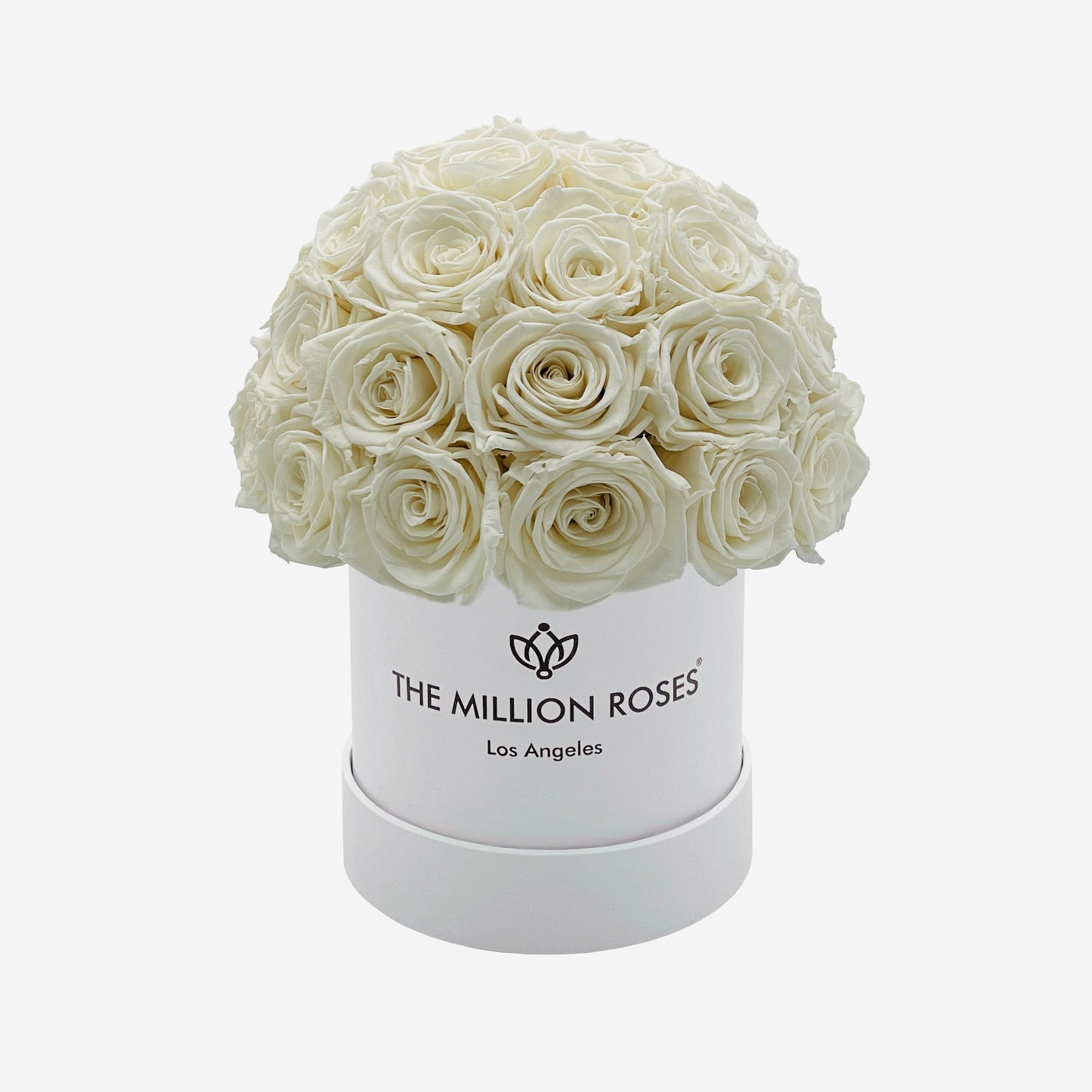 Basic White Superdome Box | White Roses