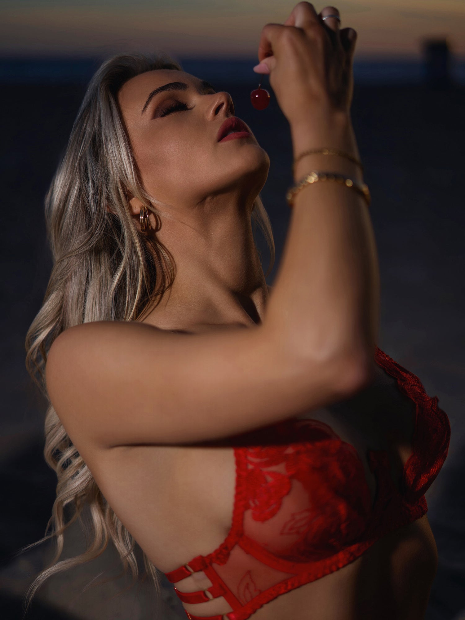 Red Embroidered Sexy Push Up Lingerie Set - Concordia Style Boutique