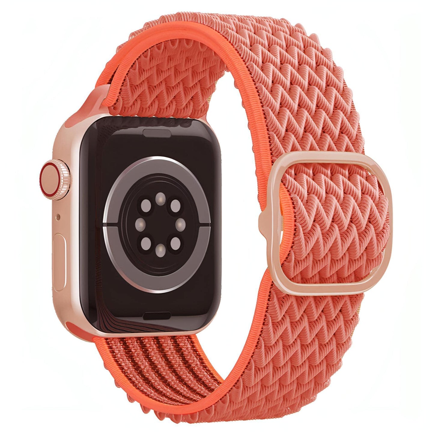 Xene Nylon Loop Band - Concordia Style Boutique