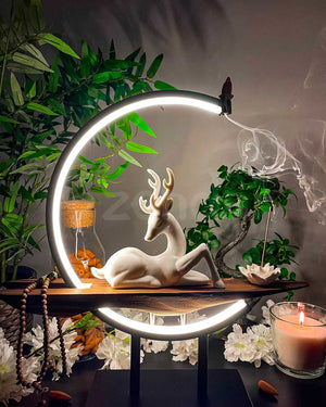 Descriptive image text