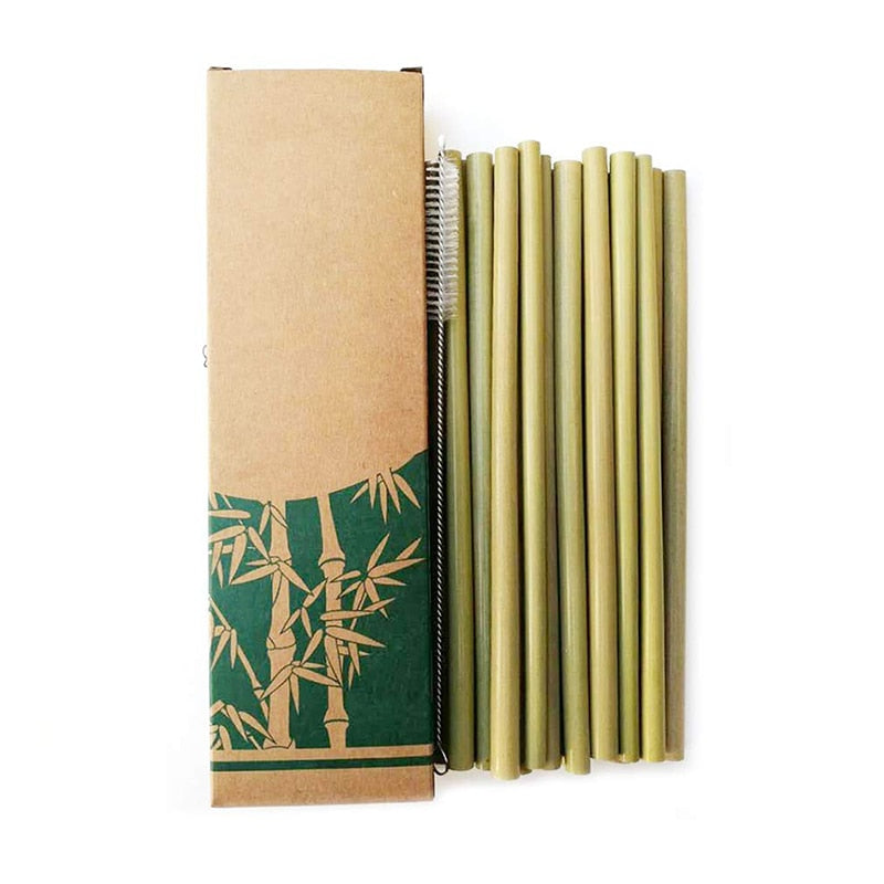 Natural organic bamboo straw set - Premium  from Consonance Store - Just $12.94! Shop now at Concordia Style Boutique