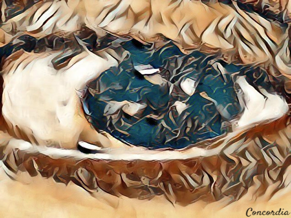 The Eye 5 - Premium artwork from Concordia Style Boutique - Just $19! Shop now at Concordia Style Boutique