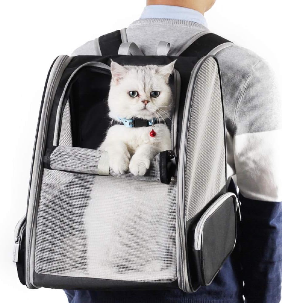 Texsens Innovative Traveler Bubble Backpack Pet Carriers for Cats and Dogs (Black) - Premium  from Concordia Style Boutique - Just $36.71! Shop now at Concordia Style Boutique