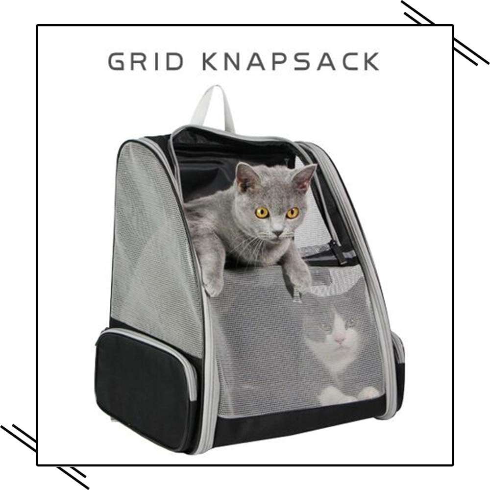 Texsens Innovative Traveler Bubble Backpack Pet Carriers for Cats and Dogs (Black) - Premium  from Concordia Style Boutique - Just $36.71! Shop now at Concordia Style Boutique