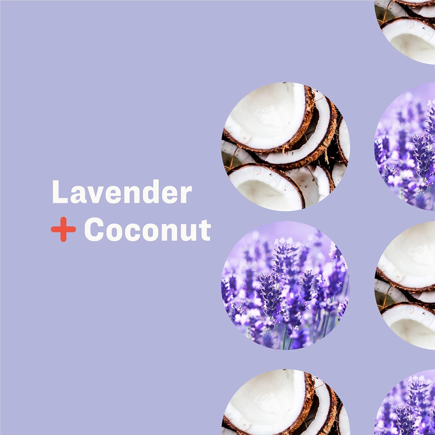 Everyone Liquid Hand Soap, 12.75 Ounce (Pack of 3), Lavender and Coconut, Plant-Based Cleanser with Pure Essential Oils - Premium hand soap from Everyone - Just $27.78! Shop now at Concordia Style Boutique