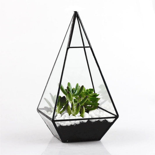 Pyramid Glass Terrarium - Premium  from Consonance Store - Just $25.18! Shop now at Concordia Style Boutique