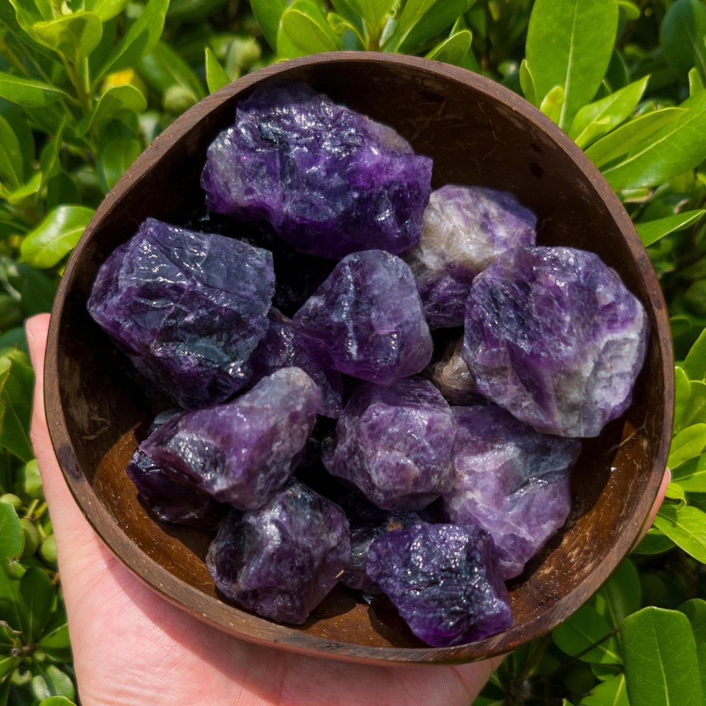 Fluorite Rough Stones - 2LB Bulk Natural Large Raw Crystals for Tumbling, Reiki Healing, Fountain Rocks, Cabbing, Lapidary, Decoration, Wire Wrapping - Healing Crystals and Gemstones - Premium Raw Crystals from Concordia Style Boutique - Just $24.62! Shop now at Concordia Style Boutique