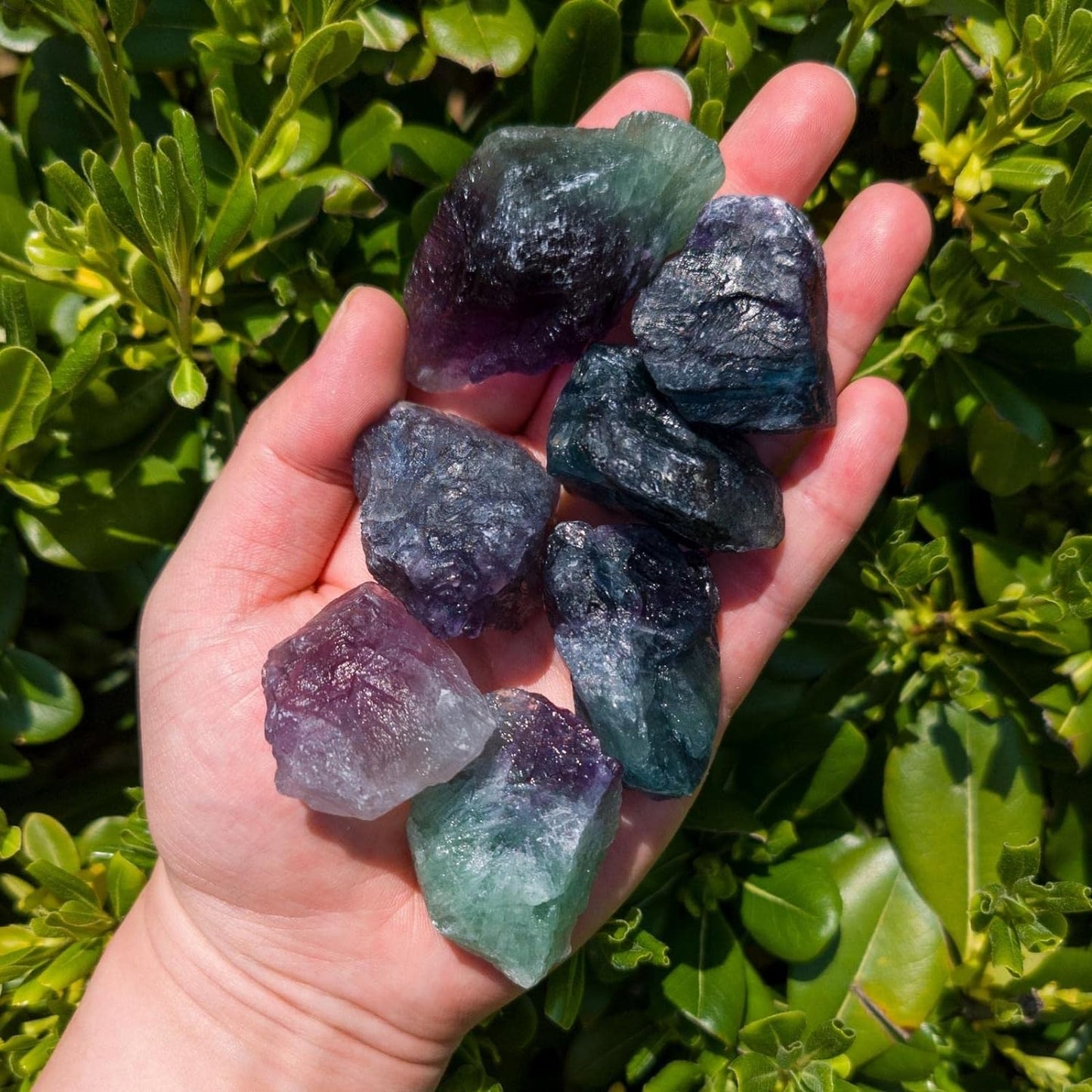 Fluorite Rough Stones - 2LB Bulk Natural Large Raw Crystals for Tumbling, Reiki Healing, Fountain Rocks, Cabbing, Lapidary, Decoration, Wire Wrapping - Healing Crystals and Gemstones - Premium Raw Crystals from Concordia Style Boutique - Just $24.62! Shop now at Concordia Style Boutique