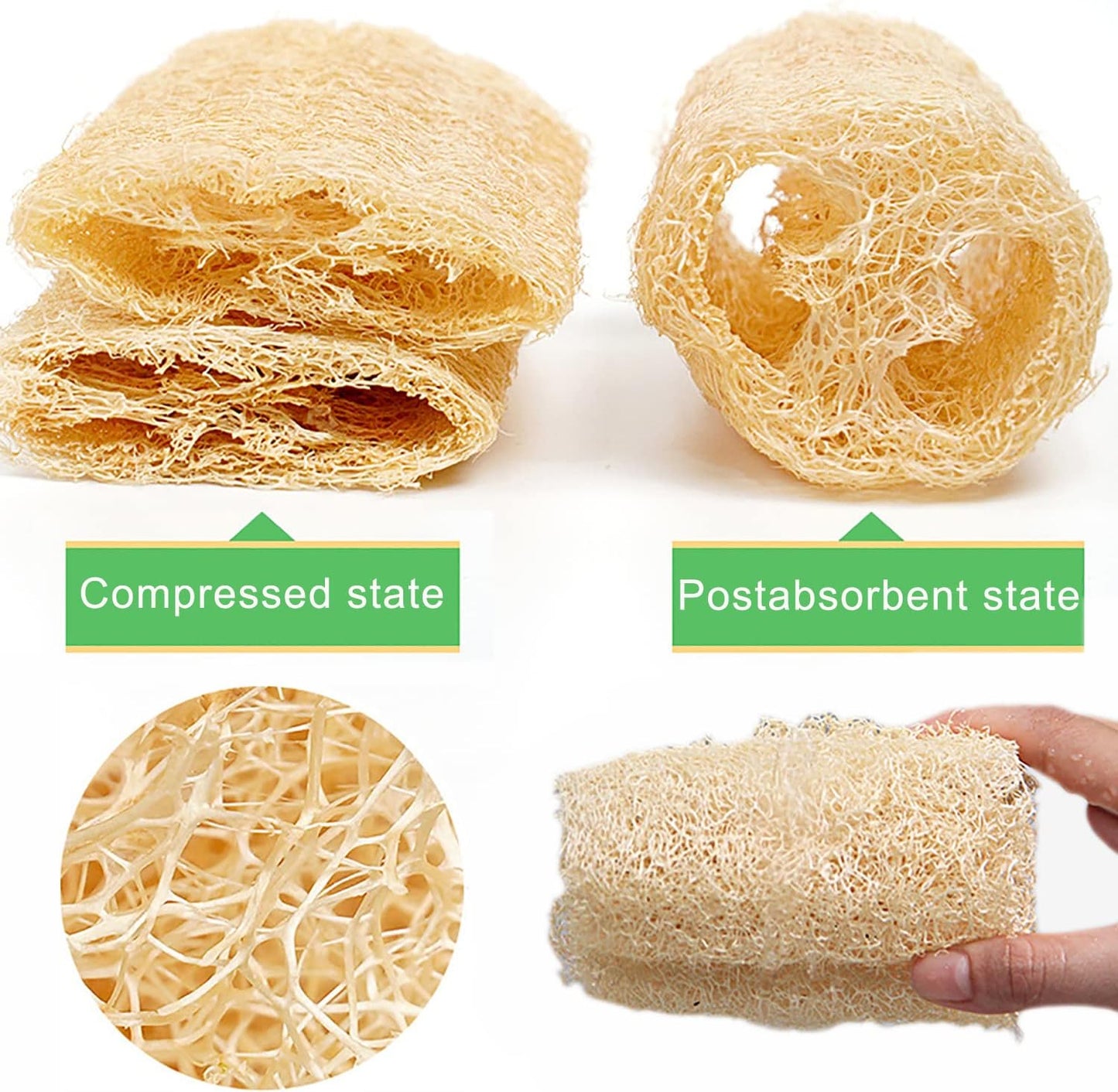 Natural Loofah Dish Sponge (4 Pcs) Scrubber for Kitchen Body Scrubber -100% Biodegradable Compostable Dishwashing Scouring Pad Zero Waste Plastic Free Eco Friendly Sustainable Silicone Unbleached - Premium Loofah Dish Sponge from Concordia Style Boutique - Just $13.70! Shop now at Concordia Style Boutique