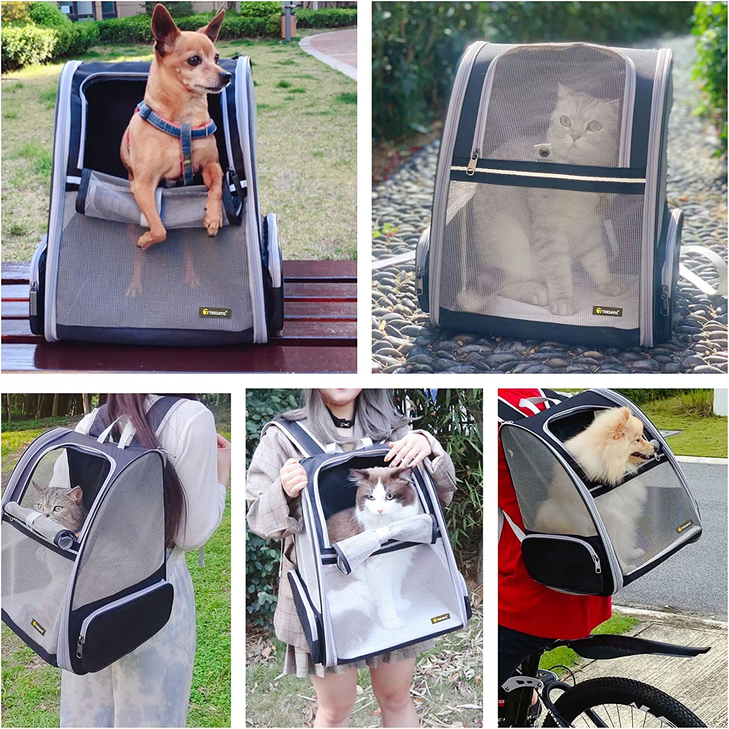 Texsens Innovative Traveler Bubble Backpack Pet Carriers for Cats and Dogs (Black) - Premium  from Concordia Style Boutique - Just $36.71! Shop now at Concordia Style Boutique