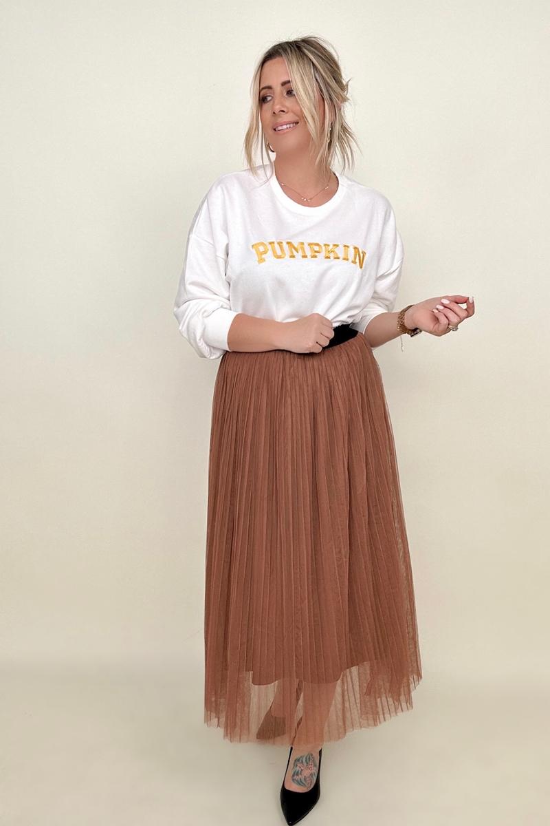 Zenana Mesh Pleated Maxi Skirt - Premium Mesh Pleated Maxi Skirt from Concordia Style Boutique - Just $12.92! Shop now at Concordia Style Boutique