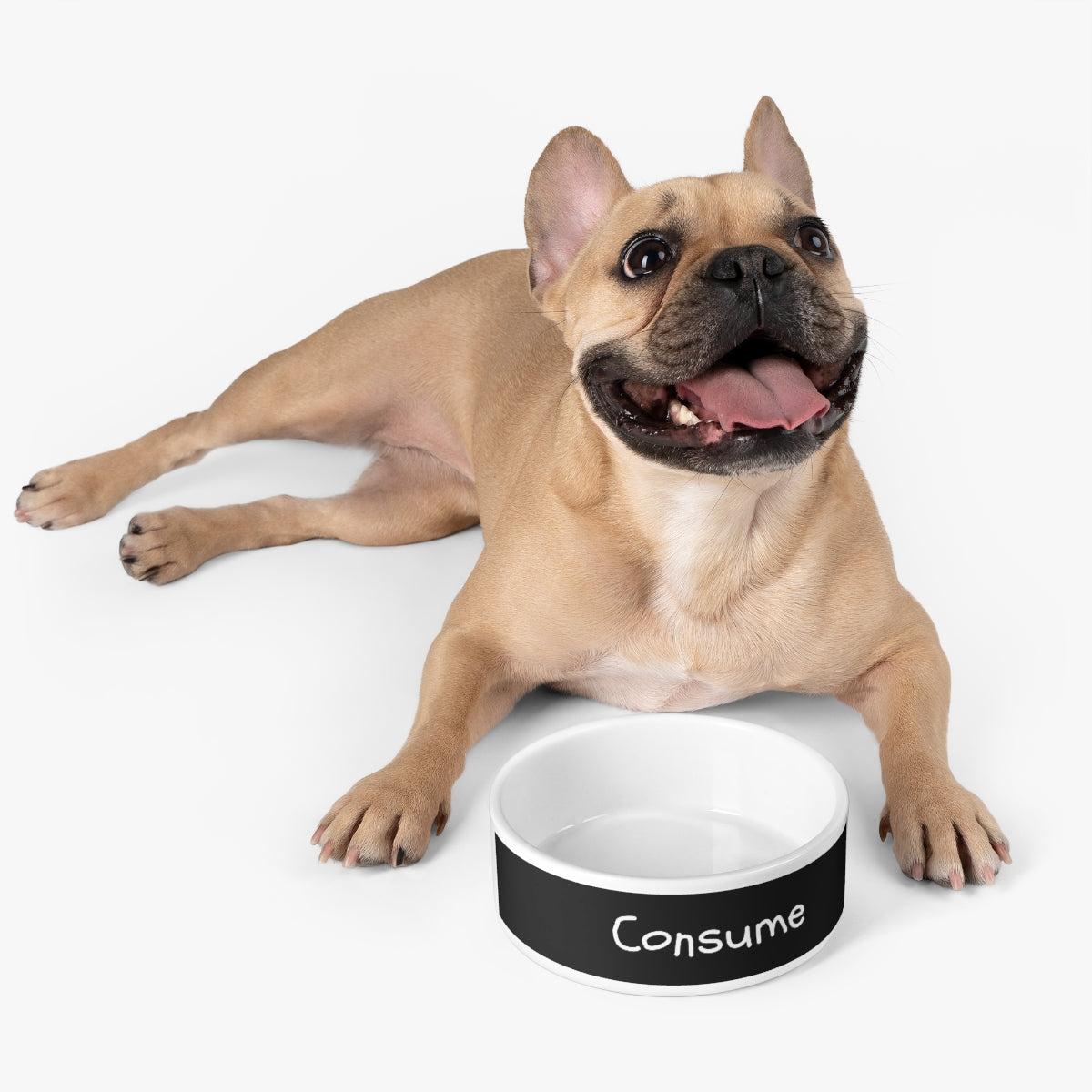 Pet Bowl - Premium Pets from Printify - Just $36.93! Shop now at Concordia Style Boutique