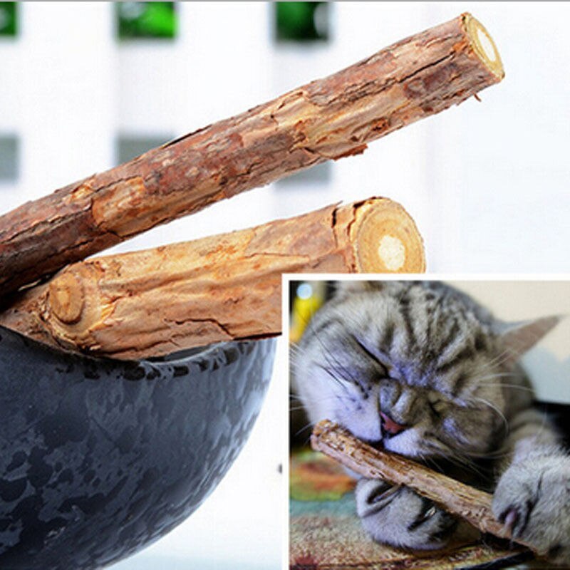 cat teeth cleaning natural pure catnip - Premium  from Consonance Store - Just $17.49! Shop now at Concordia Style Boutique