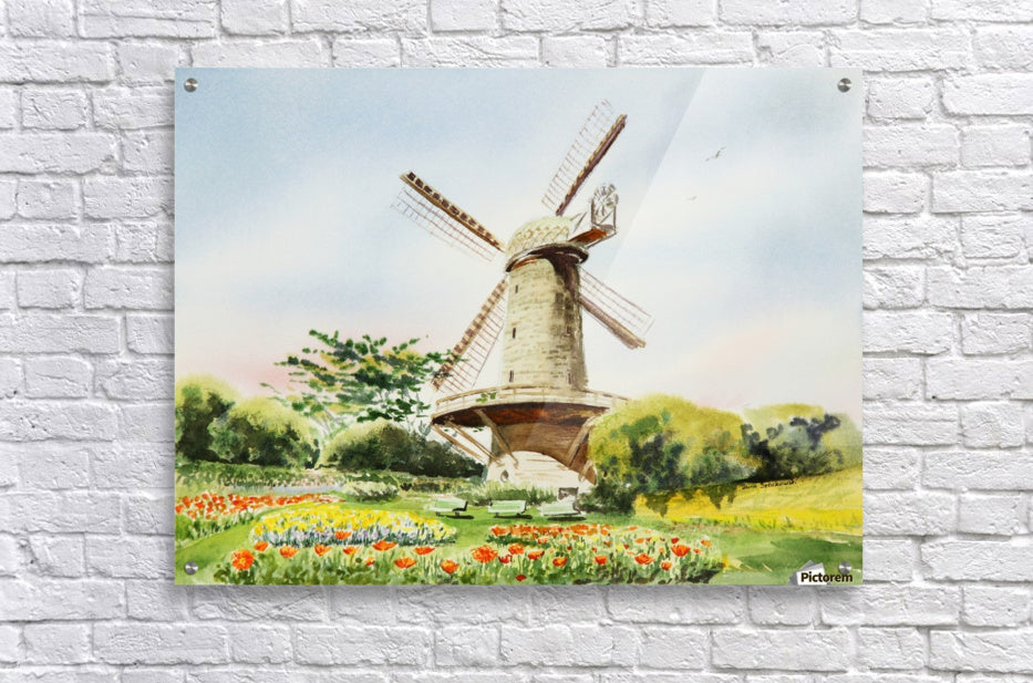 Dutch Windmill in San Francisco - Premium artwork from Concordia Style - Just $58! Shop now at Concordia Style Boutique