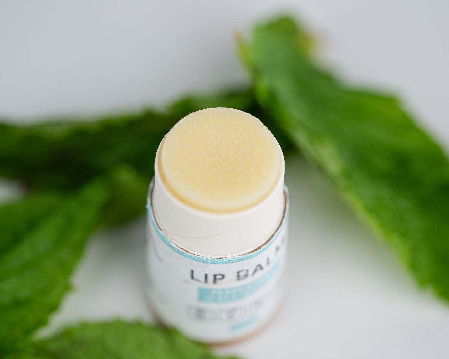 Lip Balm Bundle - Premium Lip Balm Bundle from J and L Naturals - Just $37! Shop now at Concordia Style Boutique