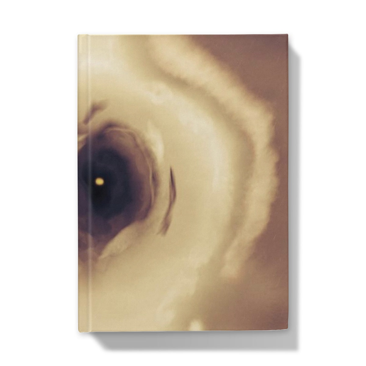 Eye Hardback Journal