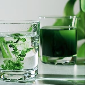 Liquid Chlorophyll | 2 oz | Vegan, Non-GMO, and Gluten Free Formula | Natural Peppermint Flavor | by Horbaach - Premium Chlorophyll from Concordia Style Boutique - Just $19.51! Shop now at Concordia Style Boutique